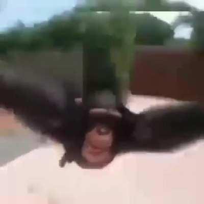 You will not regret it. Promise 