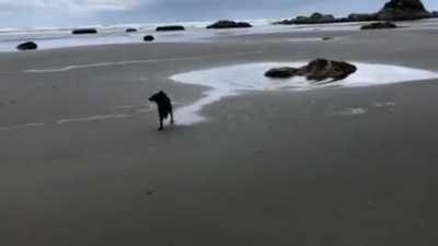 The water was a bit deeper than he thought