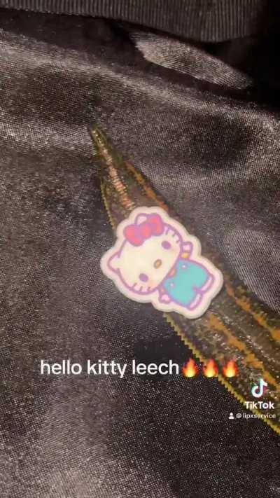 do i look like joeyy?