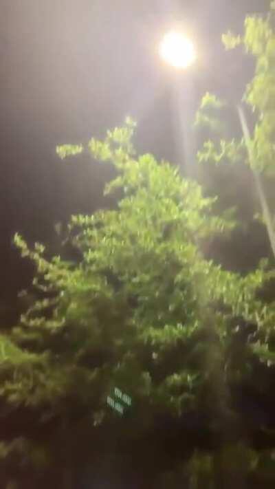 can we agree that chromatika