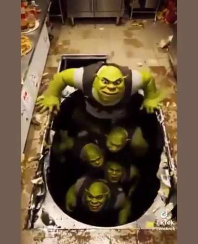 Not facebook but, shrek