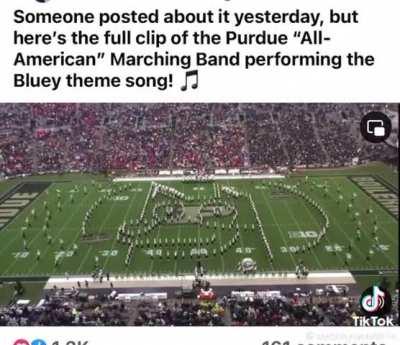 Bluey is probably our biggest cultural export, in a long time.