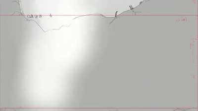 Chainsaw Man fan animation