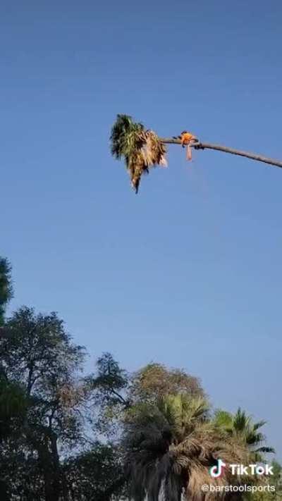 HMB while I catapult myself into a raise.