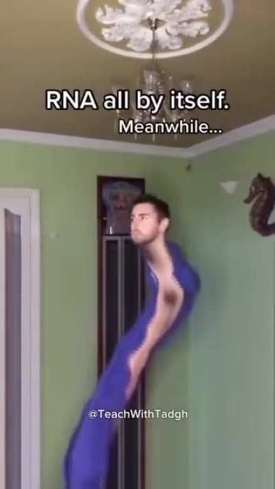 that's one way to teach that 😂🧬