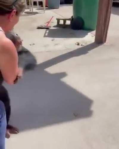 Hey Monk..We have returned. Miss you lots