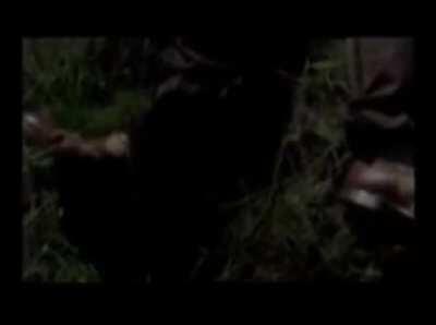 Documentary on the 1943 Zoot Suit Riots