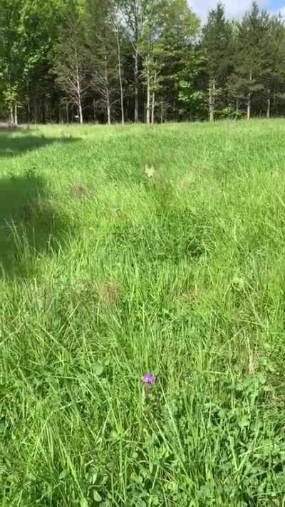 Phew... that was close!