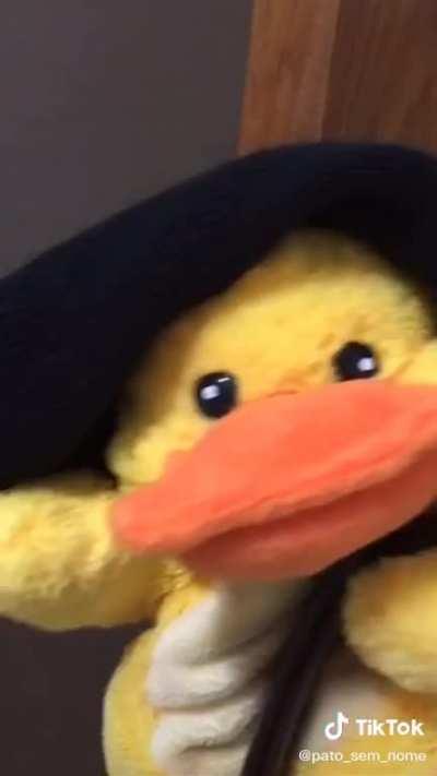 Eu sou o paitinho com pedo de apanha