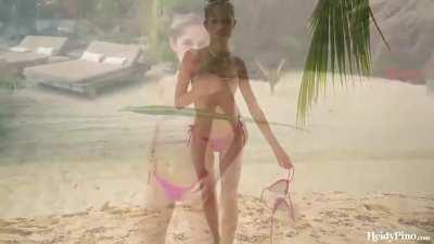 palm tree - video preview