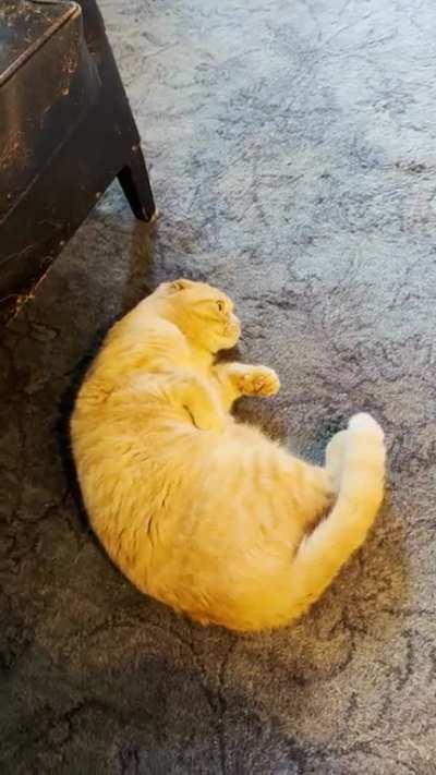 Morty was a worm in a past life