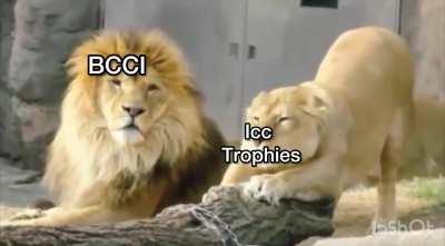Bcci and the pan masala's vengeance.