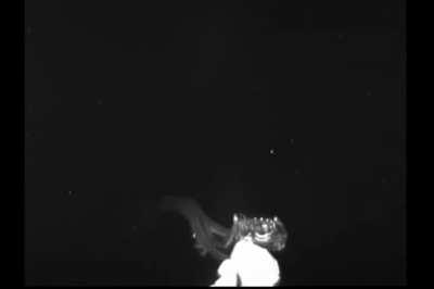 This is exactly the thing I imagine in deep water