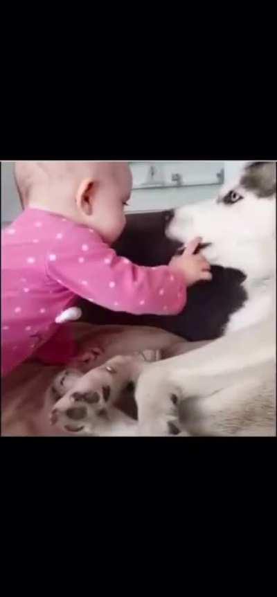 The dog is done with the baby for today