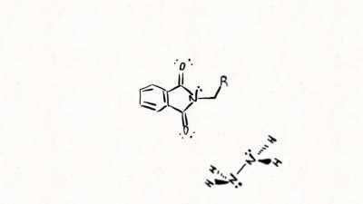 Stop Animation of the Gabriel Synthesis