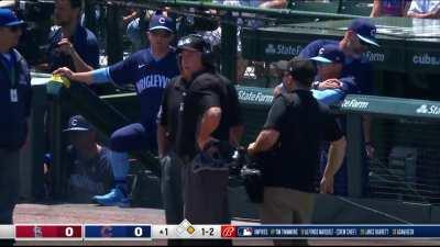 [Highlight] [CHC-STL] Paul Goldschmidt called out due to fan interference