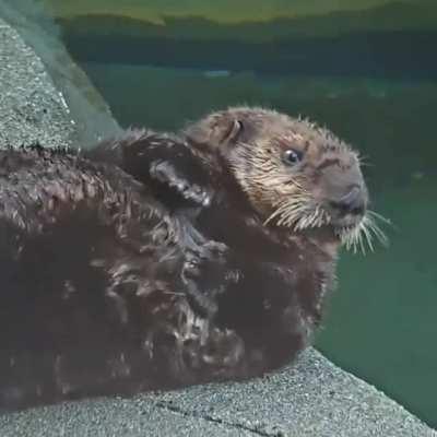 Learning about the wonders of the world