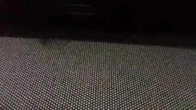 new steins;gate episode looking fresh