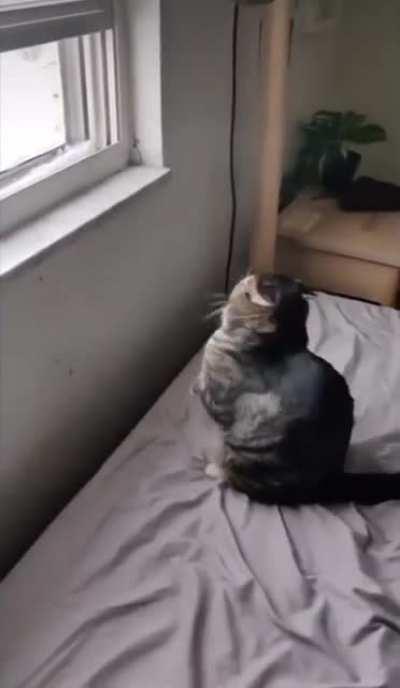 Winter Wind Chill Life