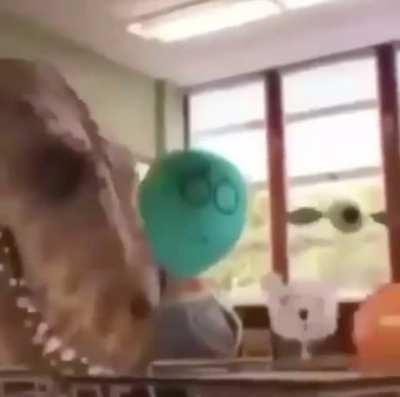 Josh after someone mentions his knees