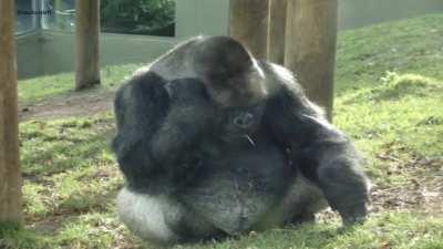 Yumigahama in a nutshell.