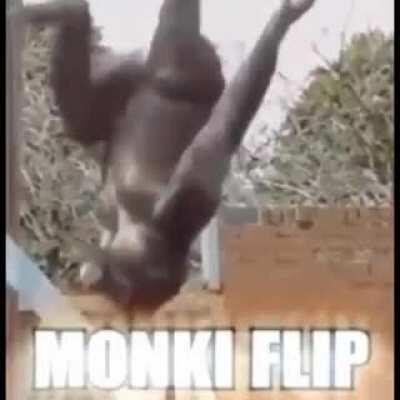 ugh fine i guess you ar- MONKI FLIP