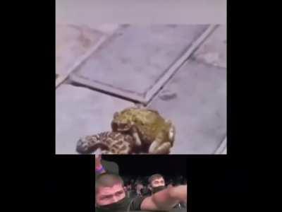 The late abdulmanap would be proud of khabibs caoching skills