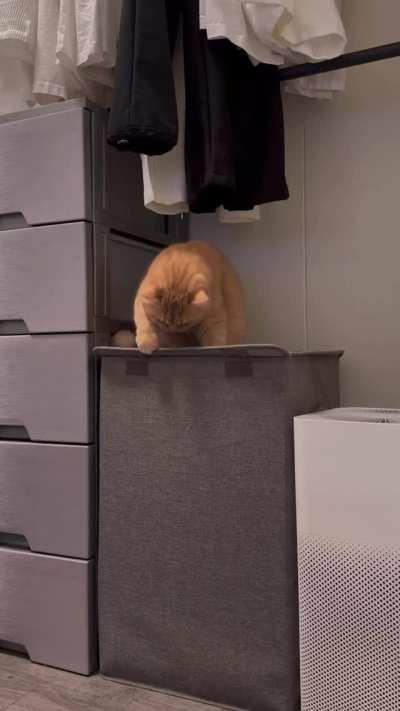 Consequences of our actions