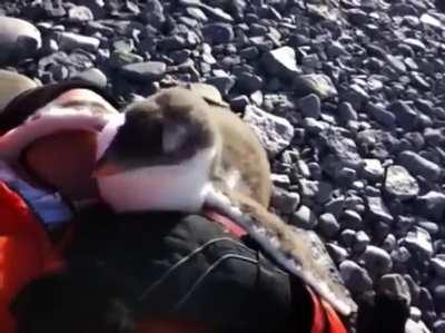 Nice and warm ❤️