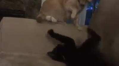 Her patience wears out eventually...