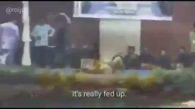 Efecto de sonido de espadas chocando, buscar