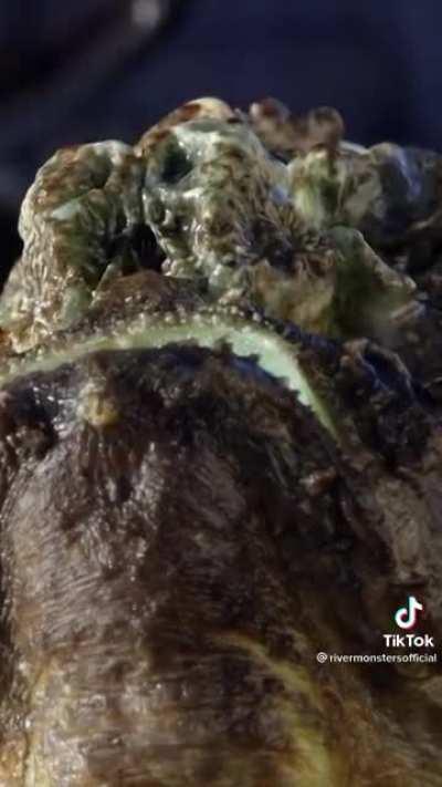 Why would you touch it?