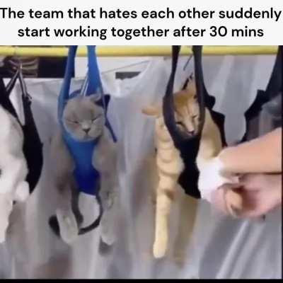 Everyone becomes too invested after 30 minutes