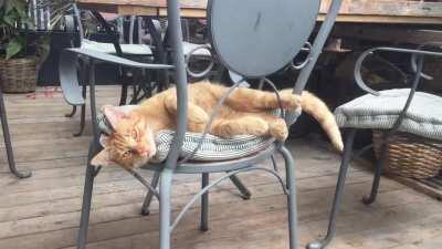 This guy sits in the cafe at my work and yells at me every time I walk by