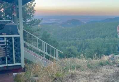 Certainly belongs here