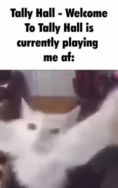 we're in the mini mall