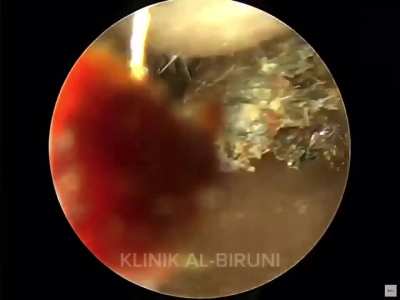 Found it on the internet - one of my favourite 