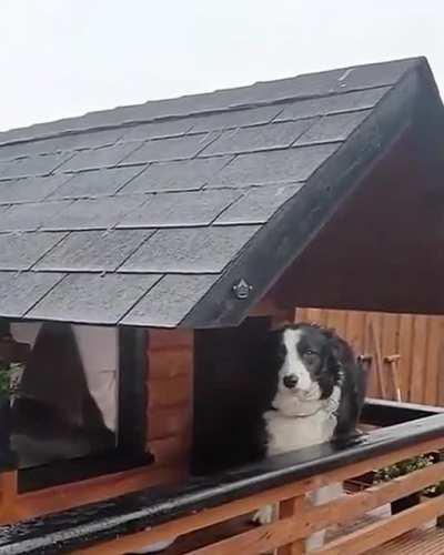 This luxury doghouse