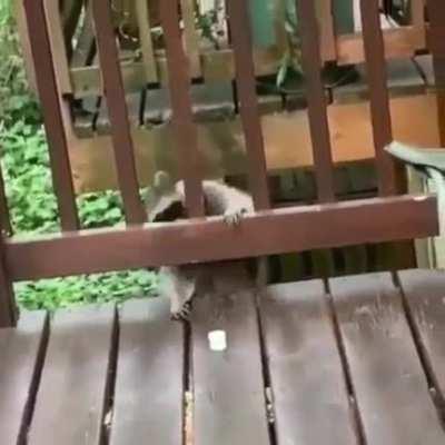 When you work hard for food….