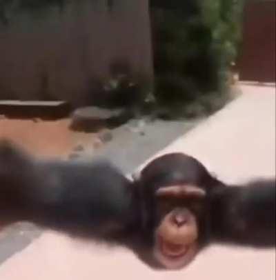 Eat your vegetables u/magony