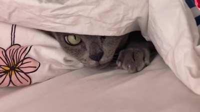 I'm scared to see what else is under there