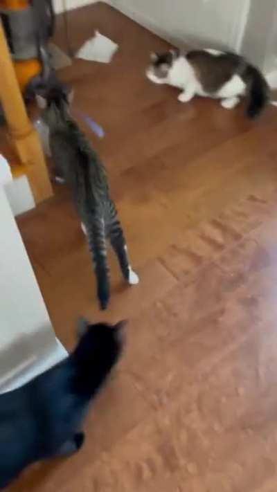 Тихо спиздил и ушёл...