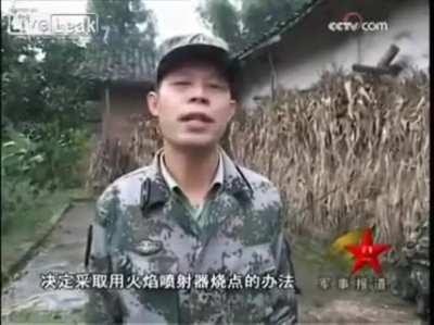 Most intense PLA engagement