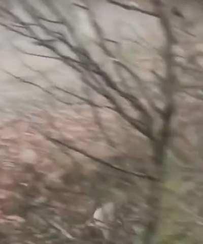 FUDEU MEU NOBRE, FUDEU