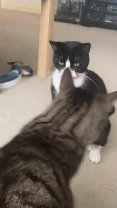 She tries to act all innocent afterwards