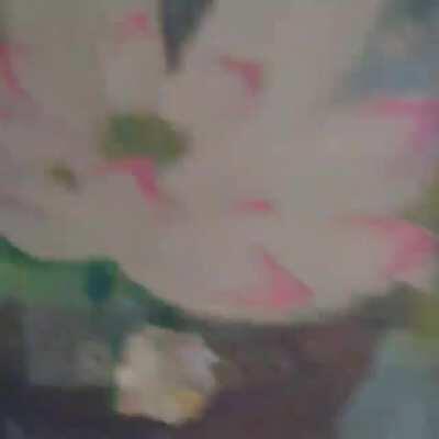 Hardcore locals never stops anything because of the rain.