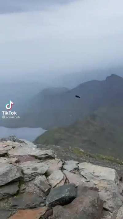 Chaos chaos,ding ding ding, chaos caos,ding ding ding,cahos chaos for for me,NEVER ENOUGH