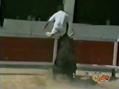 You mess with the bull, you get the horns