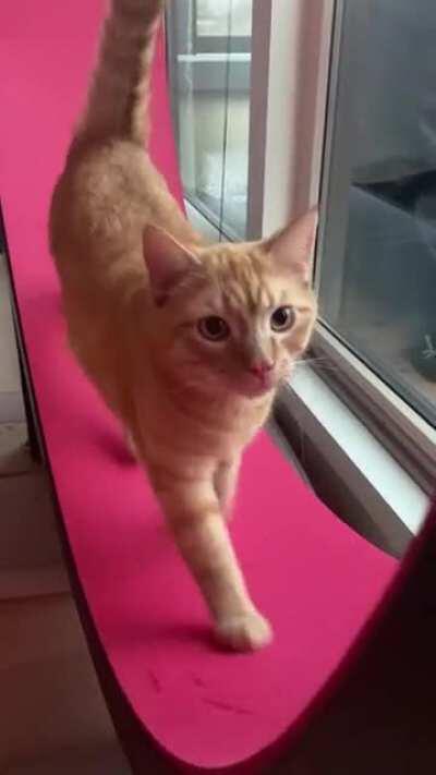 Doing his daily workout