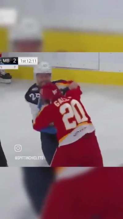 It's Tilly time in the AHL, Gallant vs Viel🔥